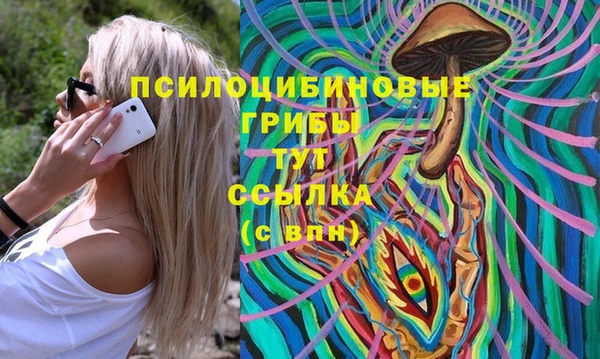 PSILOCYBIN Верея