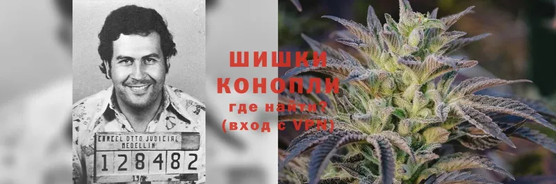 Бошки Шишки OG Kush  закладки  Зея 